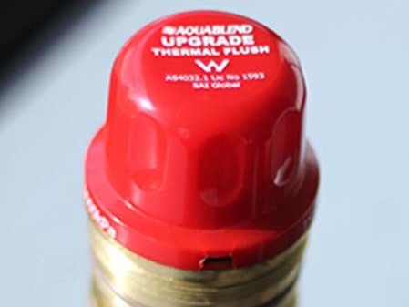 TMV cartridge with thermal flush
