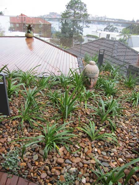 Wolfin waterproofing membrane was successfully used to rectify leaks coming from decks and garden beds

