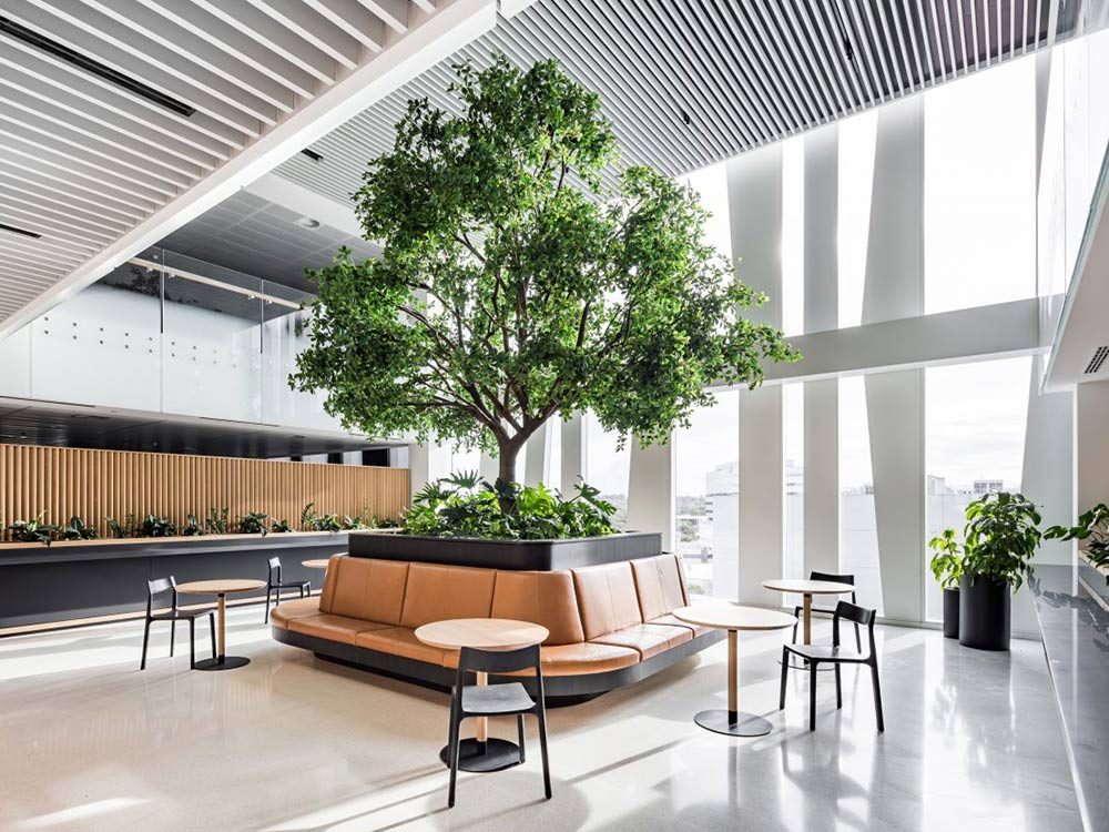 One of the key benefits of biophilic design is its impact on employees in office buildings