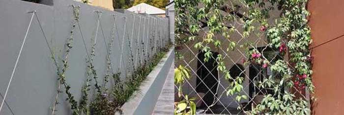 Stainless Steel Systems For Green Walls Architecture Design - Green Wall Garden Wire Trellis System