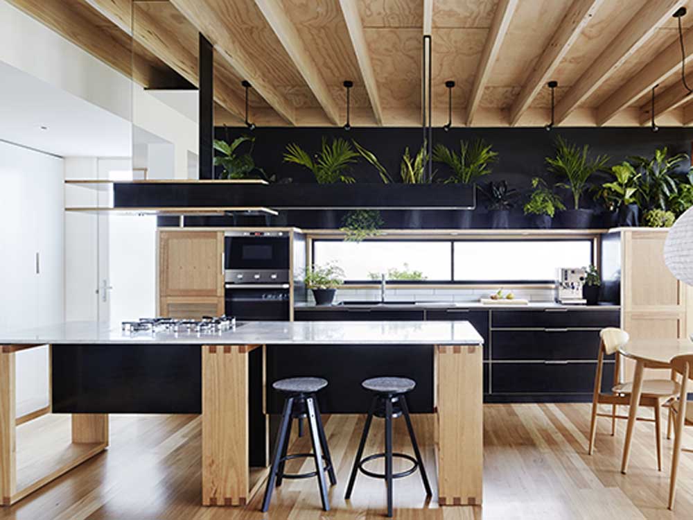 Wooden Box House by Moloney Architects; Photo: Christine Francis