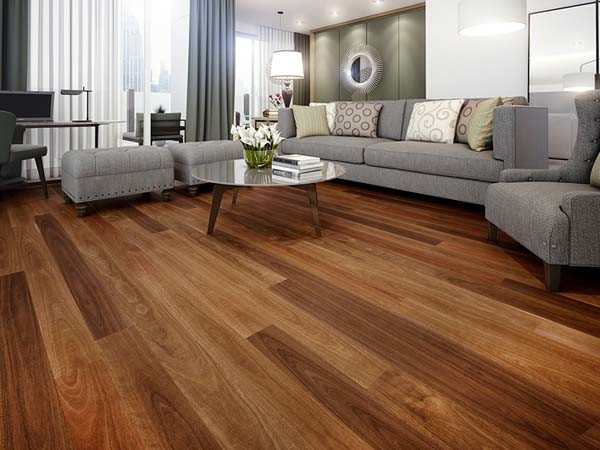 Spotted gum timber flooring
