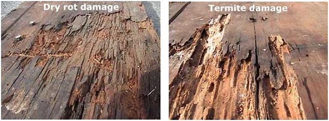 Composite Decking is Termite Proof