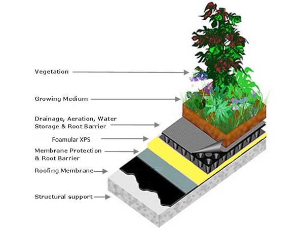 Foamular extruded polystyrene is placed below the soil but above the concrete roof, creating a continuous thermal barrier
