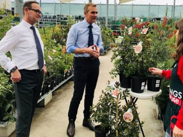 free tree drive greater sydney bunnings nsw government rob stokes peter sidgreaves