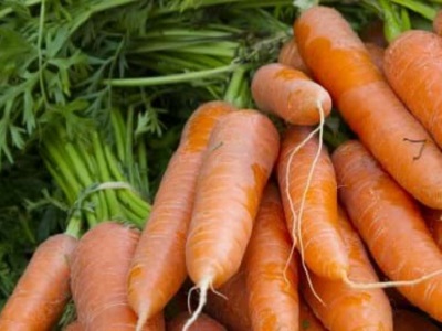 Carrots
