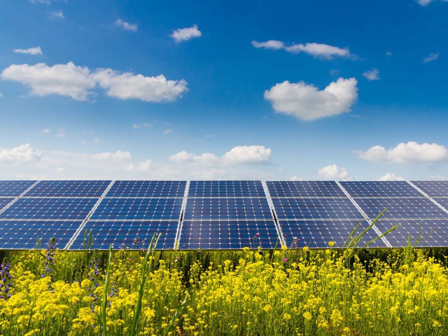 The NSW government has published an energy guideline document for large-scale solar projects in order to provide the community, industry, and regulators with guidance on the planning framework for the assessment and approval of large-scale solar energy development proposals. Image: NSW government
