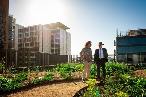 Yerrabingin Indigenous Rooftop Farm