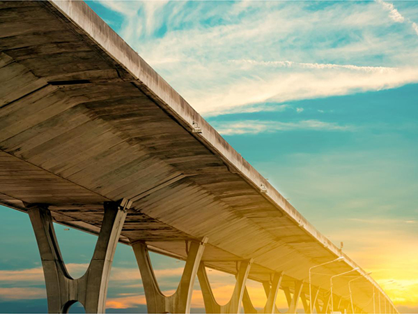 Bridges with limb-inspired architecture can withstand earthquakes