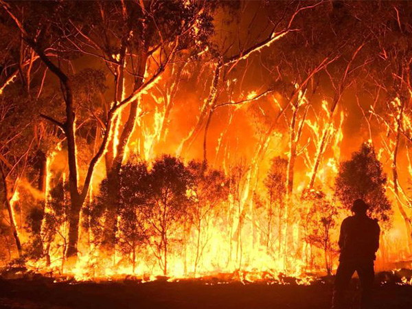 Black summer bushfires