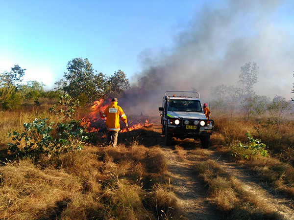 Indigenous expertise is reducing bushfires 
