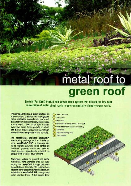 Metal Roof to Green Roof 