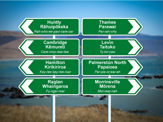 NZ Signs